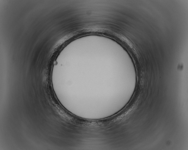 X0000097000922200803071114