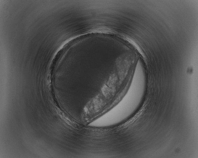 X0000097000923200803071114