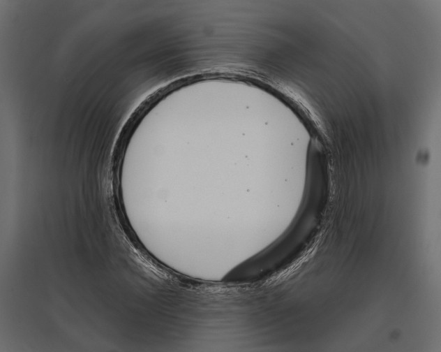 X0000097000924200803071114