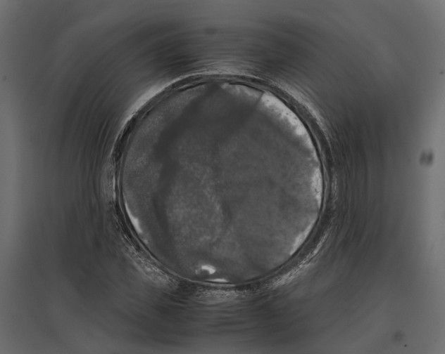 X0000097000925200803071114