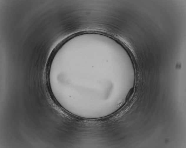 X0000097000928200803071114