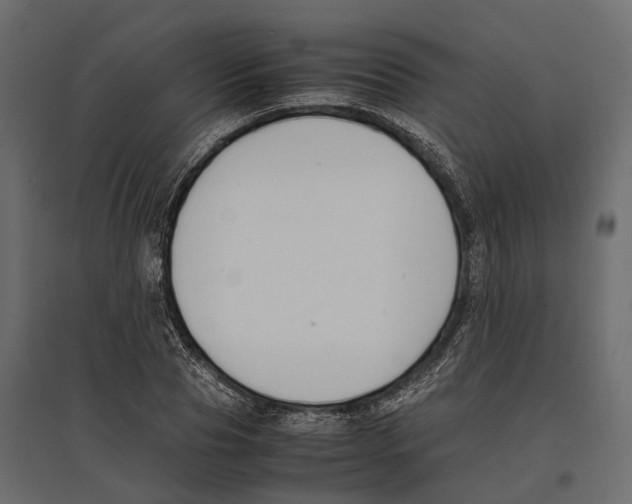 X0000097000929200803071114