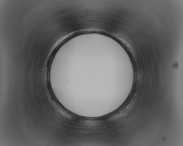 X0000097000933200803071114