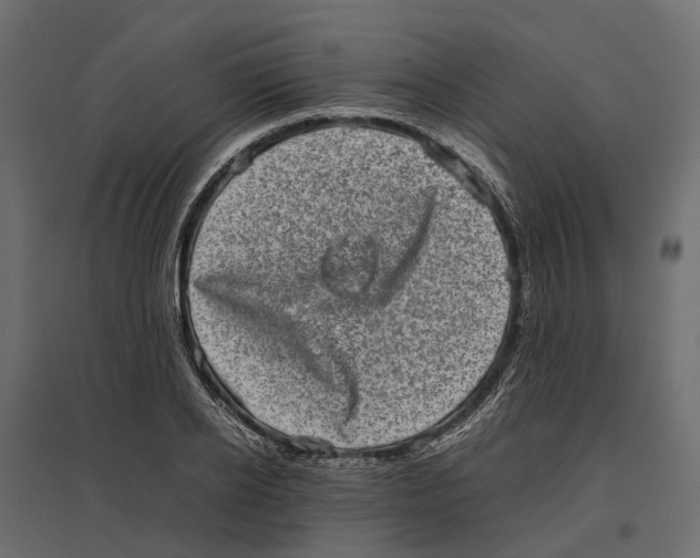 X0000097000934200803071114