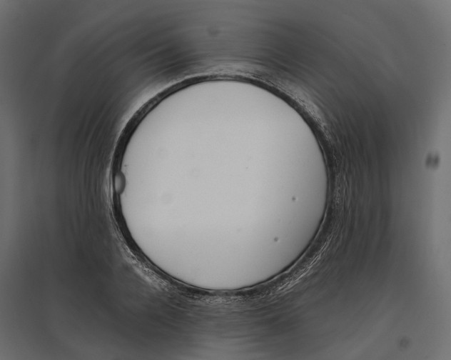 X0000097000936200803071114