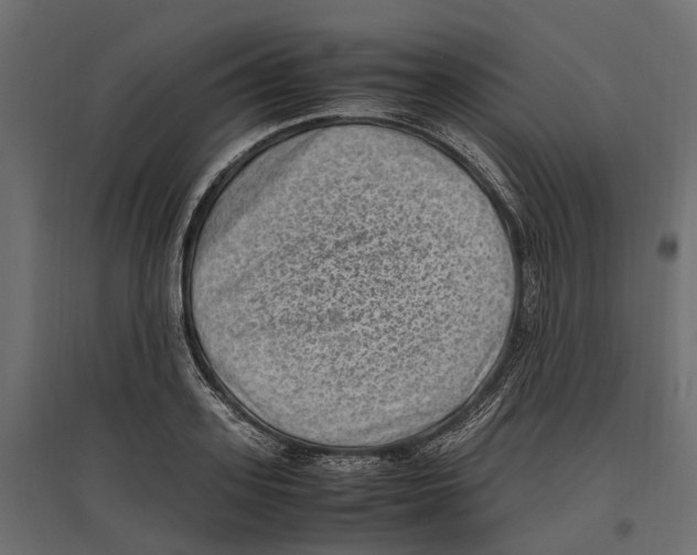 X0000097000939200803071114