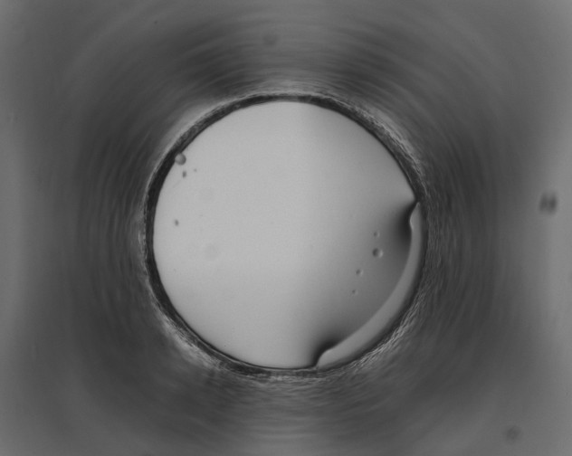 X0000097000942200803071114