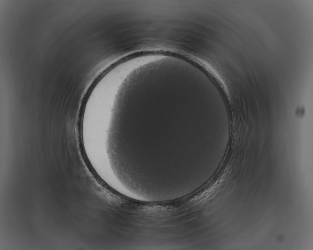 X0000097000943200803071114