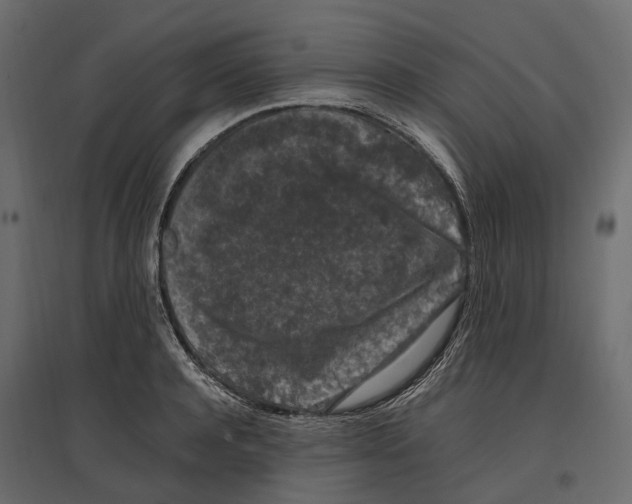 X0000097000944200803071114