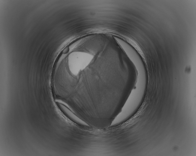 X0000097000946200803071114