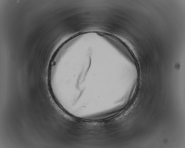 X0000097000949200803071114