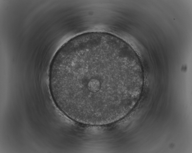 X0000097000950200803071114