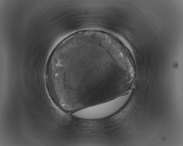 X0000097000951200803071114