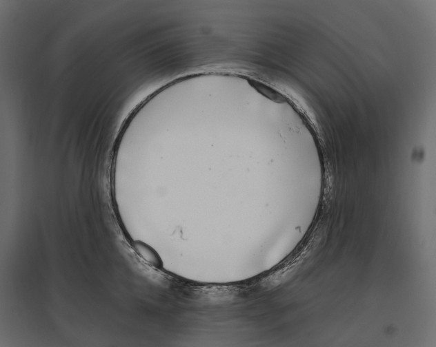 X0000097000952200803071114