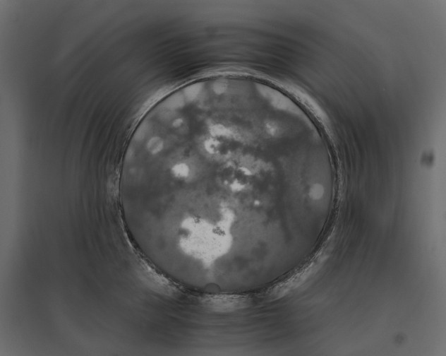 X0000097000953200803071114