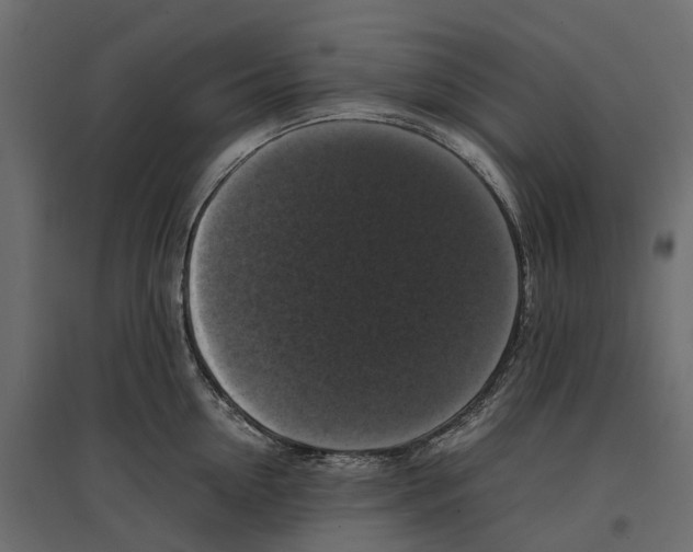 X0000097000954200803071114