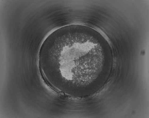 X0000097000955200803071114