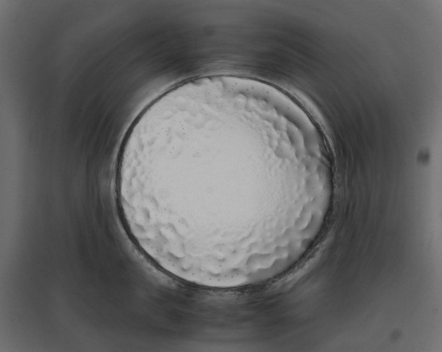 X0000097000957200803071114