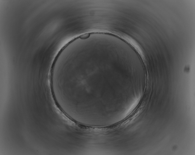 X0000097000958200803071114