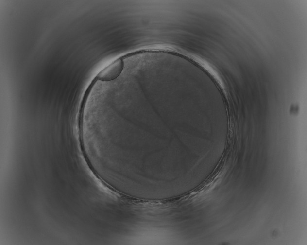 X0000097000959200803071114