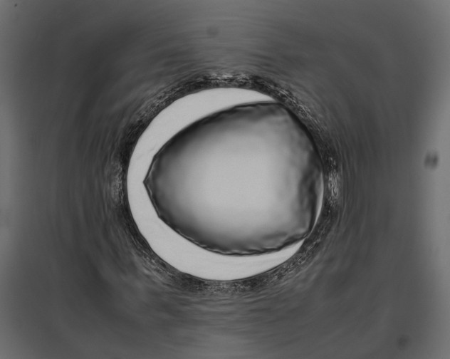 X0000097000963200803071113