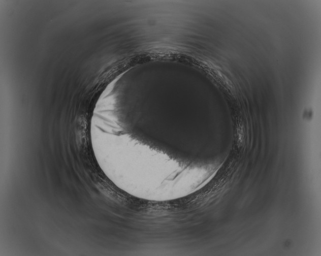 X0000097000964200803071113