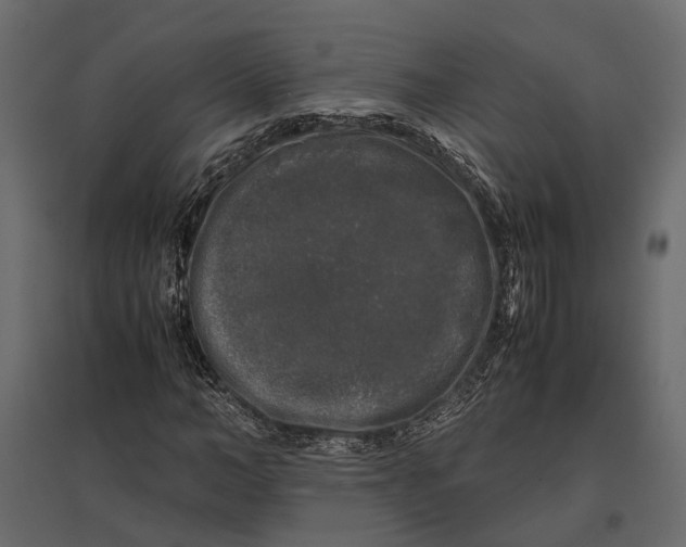 X0000097000966200803071113