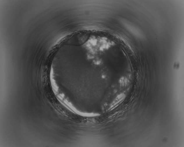 X0000097000968200803071113