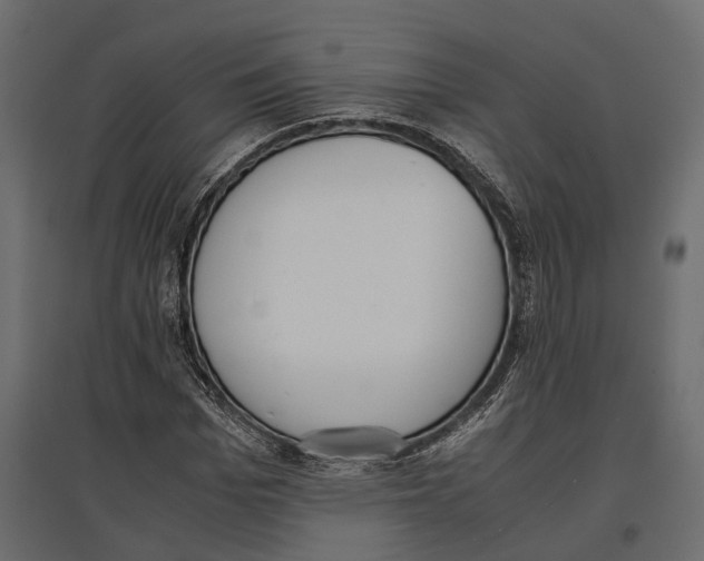 X0000097000969200803071113