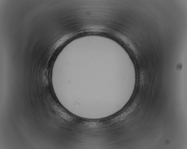 X0000097000970200803071113