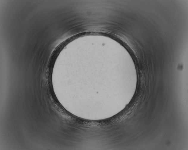 X0000097000971200803071113