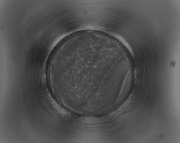 X0000097000972200803071113