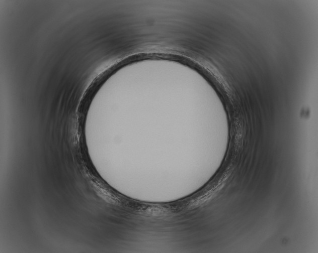 X0000097000974200803071113