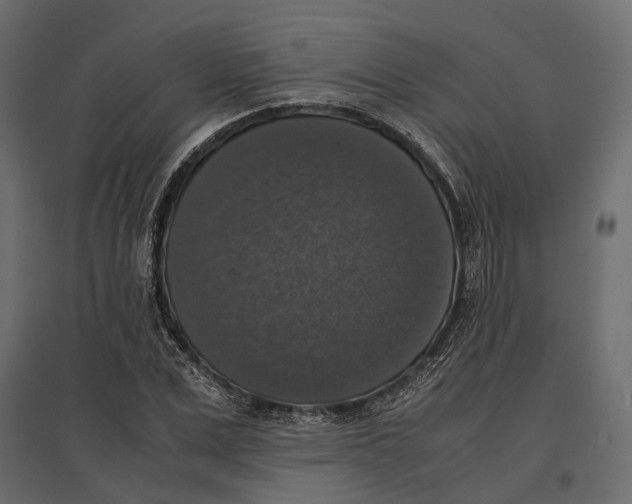 X0000097000975200803071113