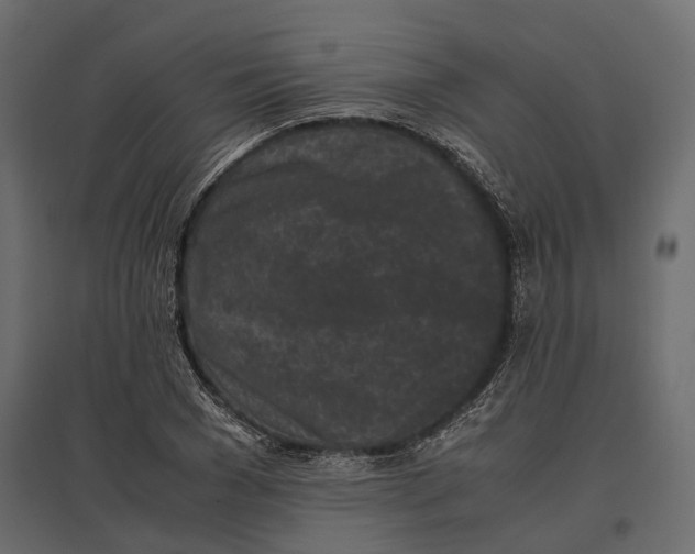 X0000097000977200803071113