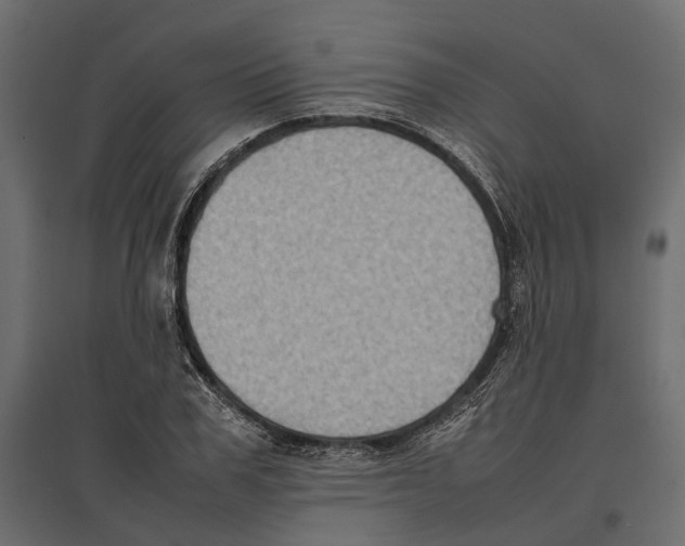 X0000097000979200803071113