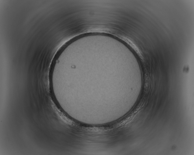 X0000097000980200803071113