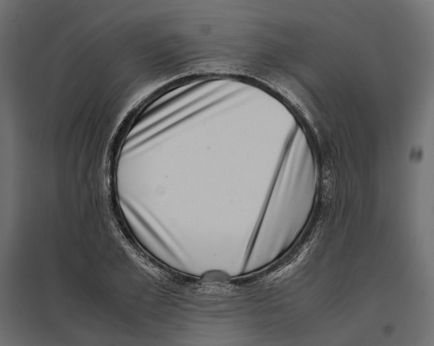 X0000097000981200803071113