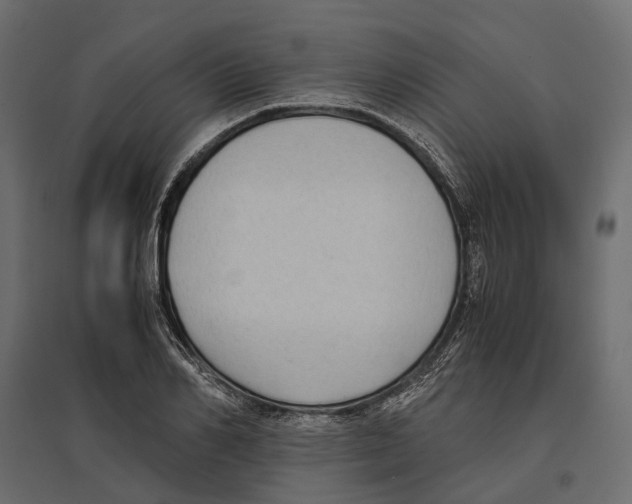 X0000097000982200803071113