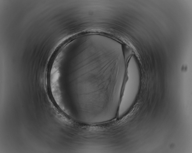 X0000097000984200803071113