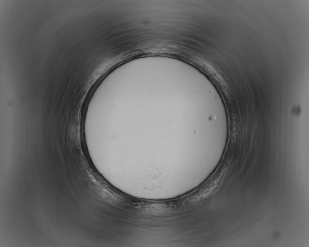 X0000097000986200803071113