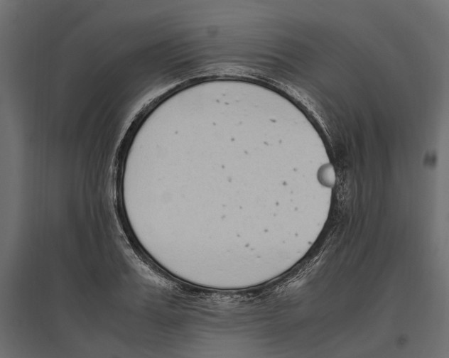 X0000097000987200803071113