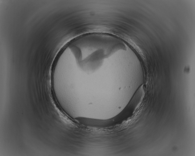 X0000097000988200803071113