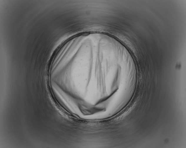 X0000097000989200803071113