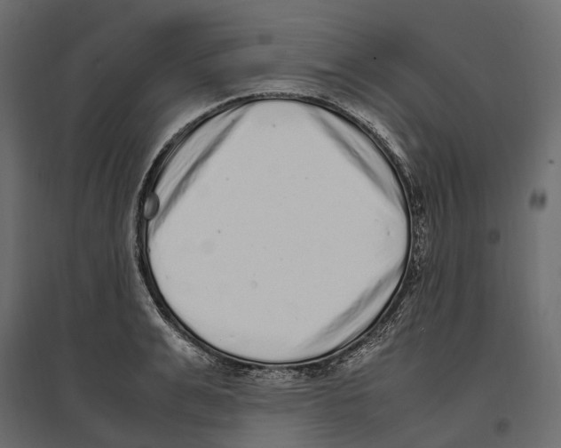 X0000097000991200803071113