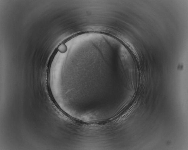 X0000097000992200803071113