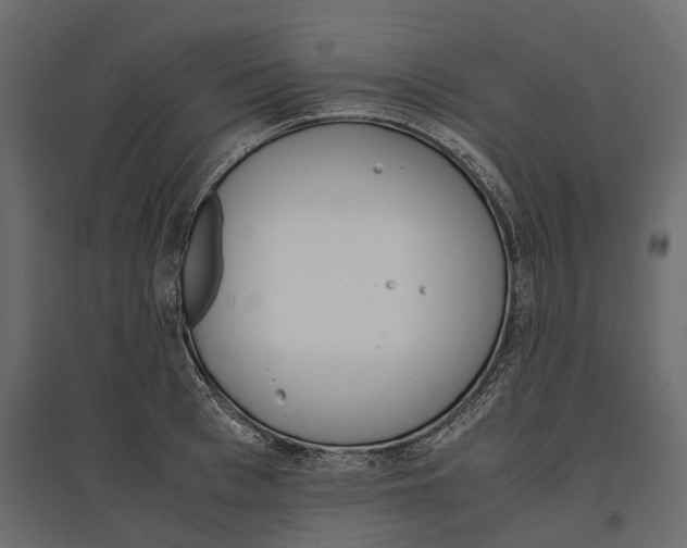 X0000097000993200803071113