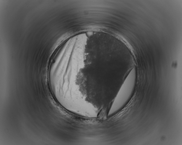 X0000097000994200803071113