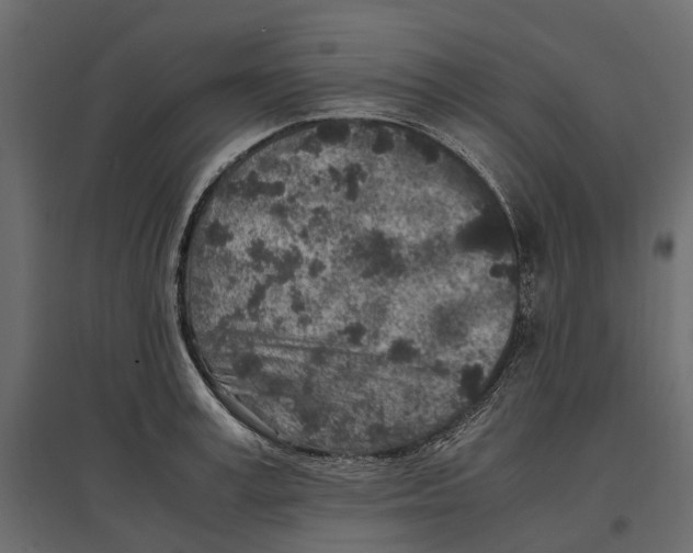 X0000097000995200803071113