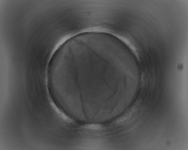 X0000097000998200803071113